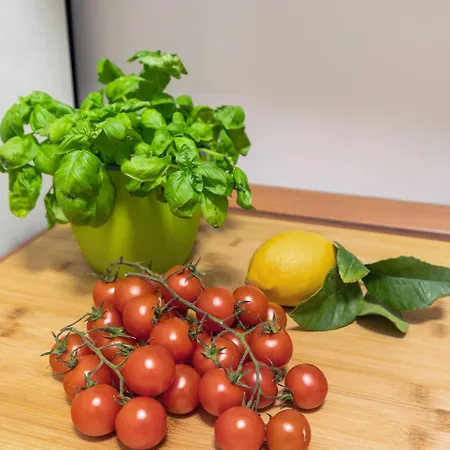 Monti Charming Amphora *